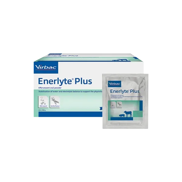 Enerlyte Plus - Electrolytes pour porcelet et veau - 24 sachets de 100 g - VIRBAC