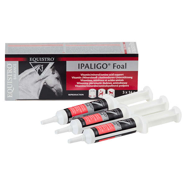 Equistro Ipaligo Foal - Foal Growth - 3 x 14 g - VETOQUINOL