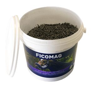 Ficomag - Verrues et papillomes du cheval - 1,3 kg - GREENPEX