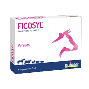 Ficosyl - 6 ampoules de 5 mL - BOIRON