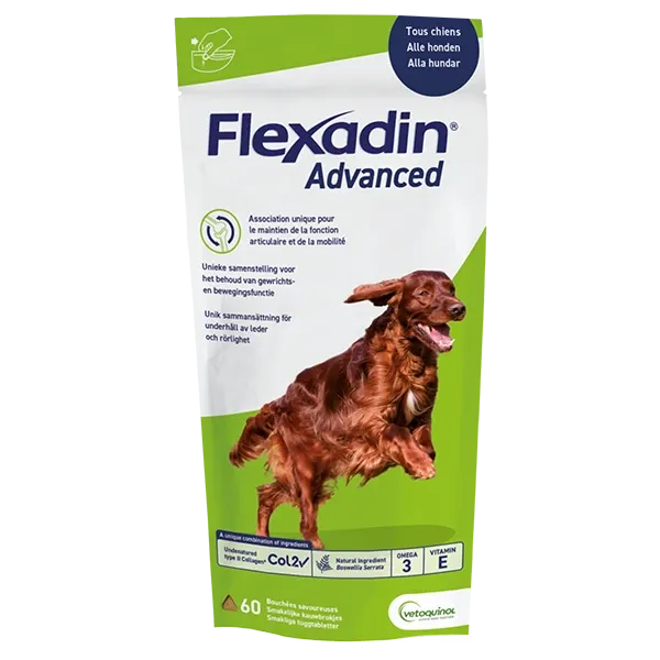 Flexadin Advanced - Joint Support - Osteoarthritis - Dog - 60 Chews - VETOQUINOL