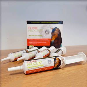 Flore Process - Probiotiques pour cheval - MSD 2