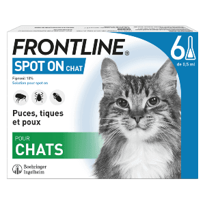 Frontline Spot On Chat - Anti-vlooien kat - 6 pipetten - BOEHRINGER INGELHEIM