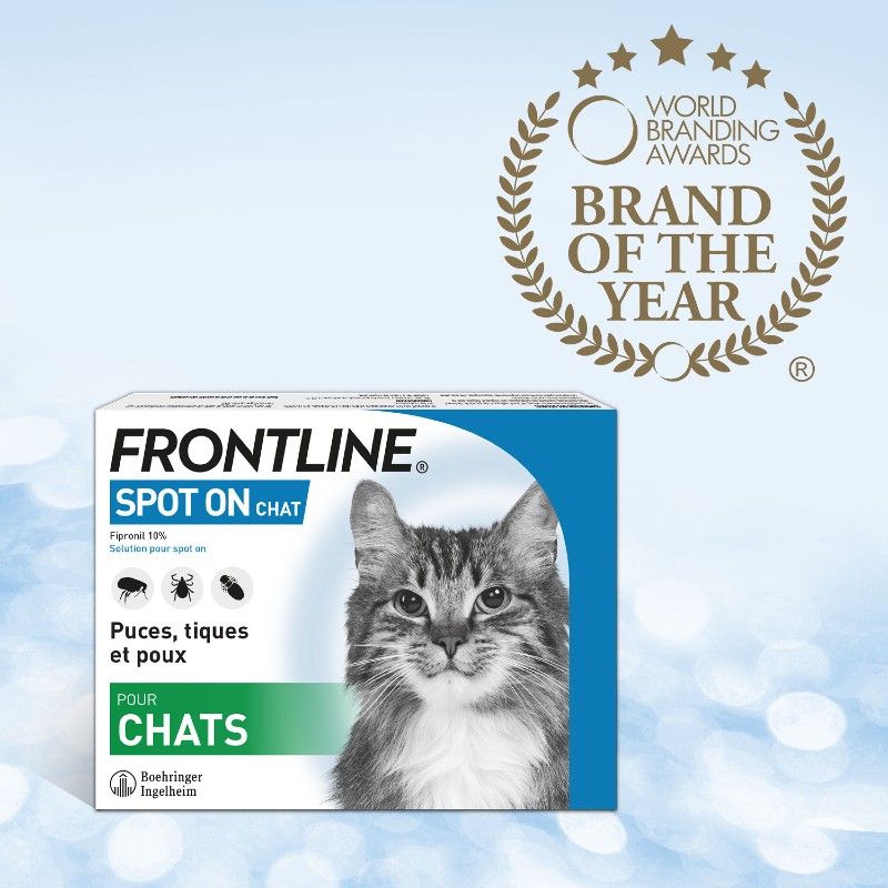 Frontline Spot On Chat - Anti-puces chat - 3 pipettes - BOEHRINGER INGELHEIM 3