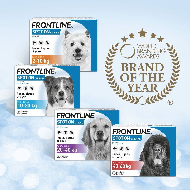 Frontline Spot On S - Anti-puces chien - de 2 à 10 kg - 3 pipettes - BOEHRINGER INGELHEIM 3