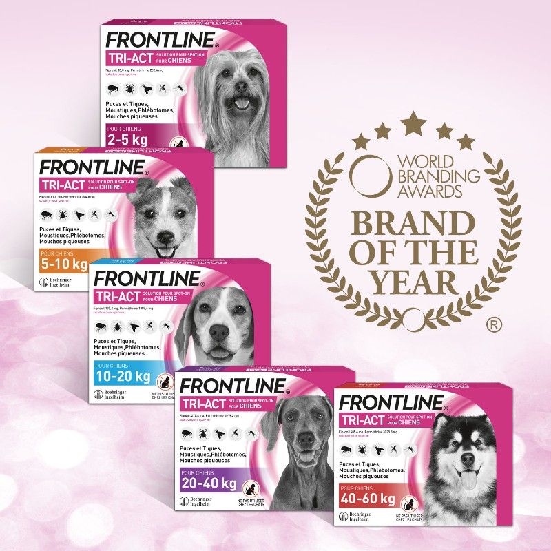Frontline - Tri-Act L - de 20 à 40 kg - Anti-puces - 3 Pipettes - BOEHRINGER INGELHEIM 3