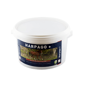 Harpago + - Wsparcie stawów u konia - 1,5 kg - GREENPEX