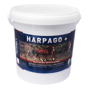 Harpago + - Pielęgnacja stawów konia - 4,5 kg - GREENPEX