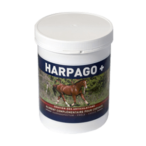 Harpago + - Soin des articulations du Cheval - 500 g - GREENPEX
