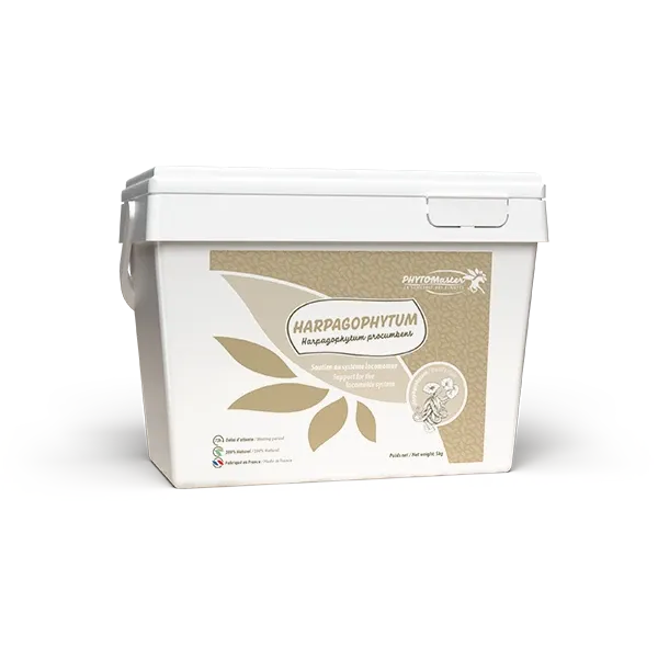 Czysty Harpagophytum – Elastyczność stawów u konia – 5 kg – PHYTO MASTER