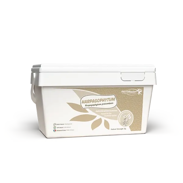 Harpagophytum czysty – elastyczność stawów u koni – 1 kg – PHYTO MASTER