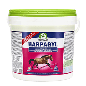 Harpagyl - Harpagophytum - Wsparcie stawów - Koń - 4,5 kg - AUDEVARD