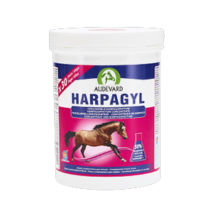 Harpagyl - Harpagophytum - Wsparcie stawów - Koń - 900 g - AUDEVARD