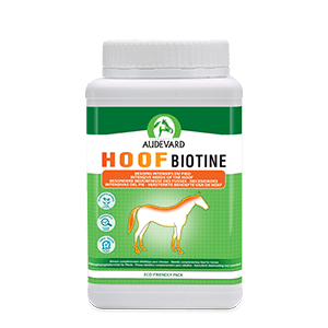 Hoof Biotine - Beauté du sabot - 1 Kg - AUDEVARD