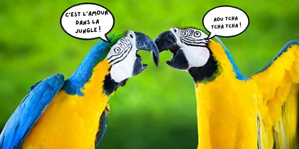 Couple de perroquet dans la jungle pour l'article de la reproduction des oiseaux