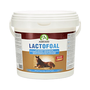 Lactofoal - Melkvervanger - Veulen - 2,2 kg - AUDEVARD