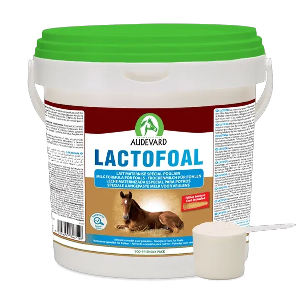 Lactofoal - Lait maternisé pour poulain - 14 Kg - AUDEVARD