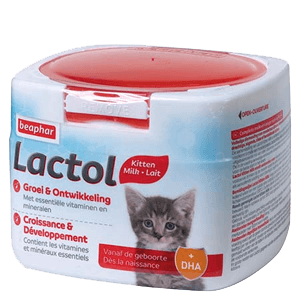 Lactol - Melkvervanger voor kittens - 250 g - BEAPHAR