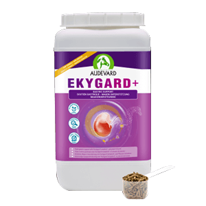 Ekygard + Protection gastrique - Acidité - Cheval - 2,4 kg - Audevard - Produits-veto.com