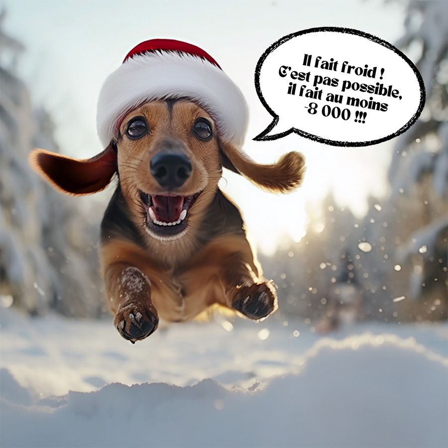 Chien sautant dans la neige pour fuire le froid hivernal