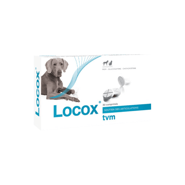 Locox - Soutien des articulations - Chien et chat - 30 comprimés - DOMES PHARMA