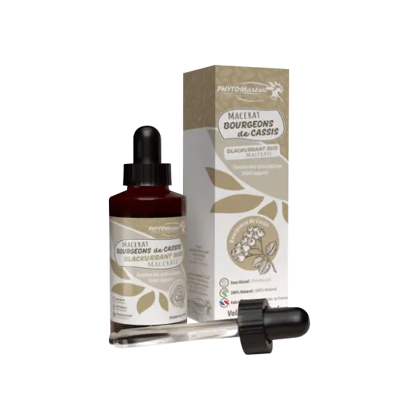 Macérat de bourgeons de cassis - Soutien des articulations du cheval - 60 ml - PHYTO MASTER