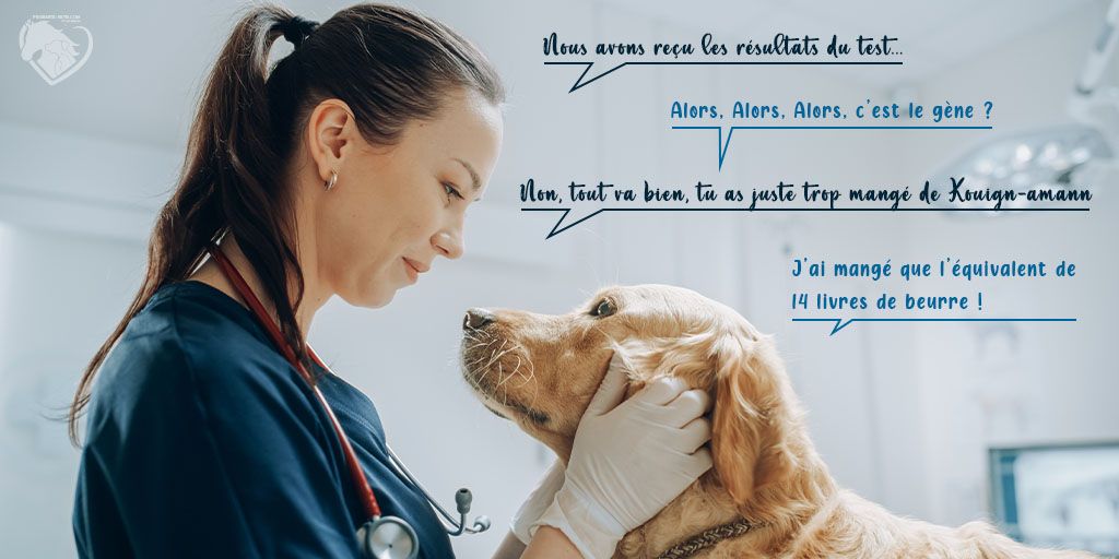 Article MDR1 Chien - Test MDR1 - Produits-veto.com