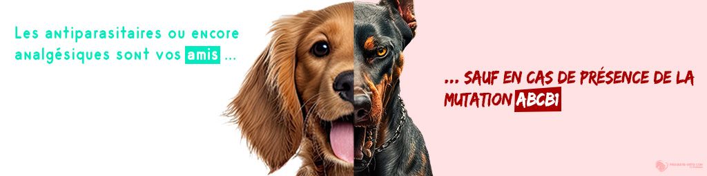 Article MDR1 Chien - Médicaments - Produits-veto.com