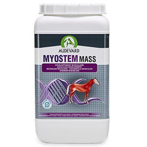 Myostem Mass - Développement musculaire - Cheval - 2,1 kg - AUDEVARD