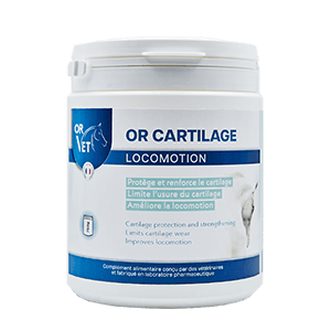 OR Cartilage - Locomotion - Cheval - 750 g - OR VET