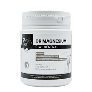 OR Magnesium - Anxiety - Daily relaxant - 500 g - OR VET