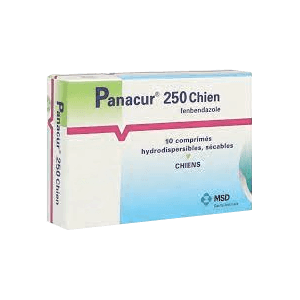 Panacur 250 - Vermifuge pour chien - 10 comprimés - MSD