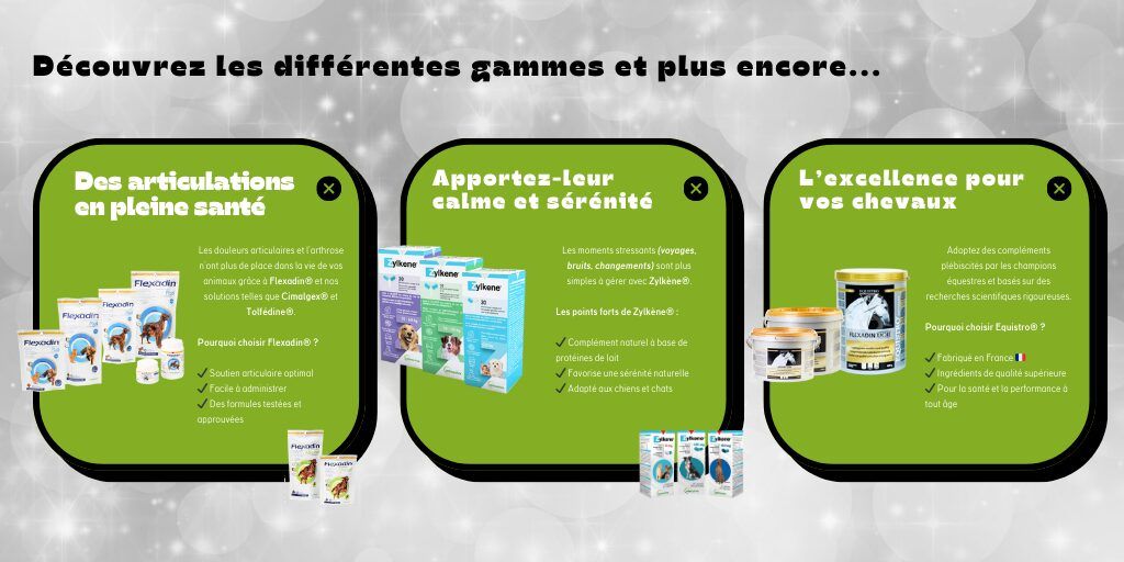 Image secondaire du partenariat d'influence vetoquinol x produitsveto