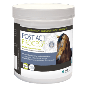 Post Act Process - Perturbations digestives - Prébiotiques - 500 g - Cheval - MSD