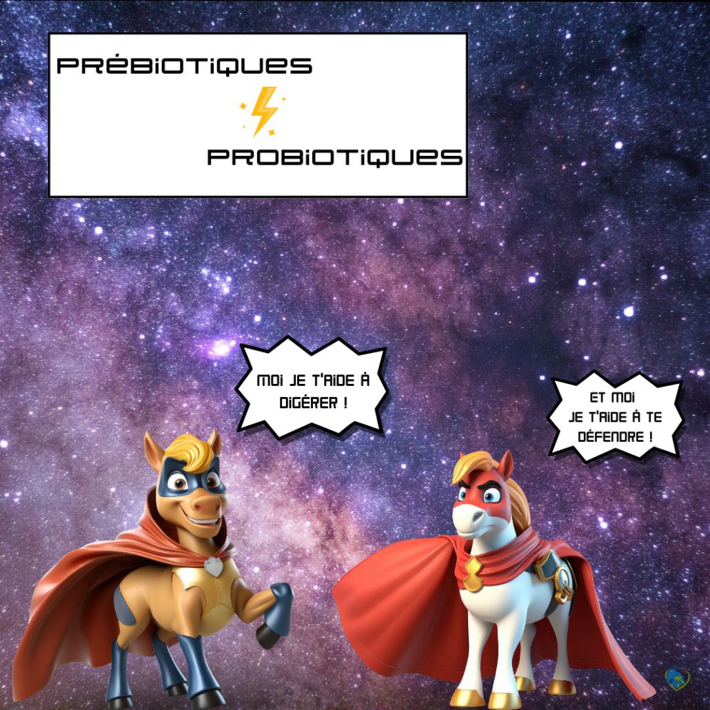 prébiotiques-probiotiques-cheval-produits-veto