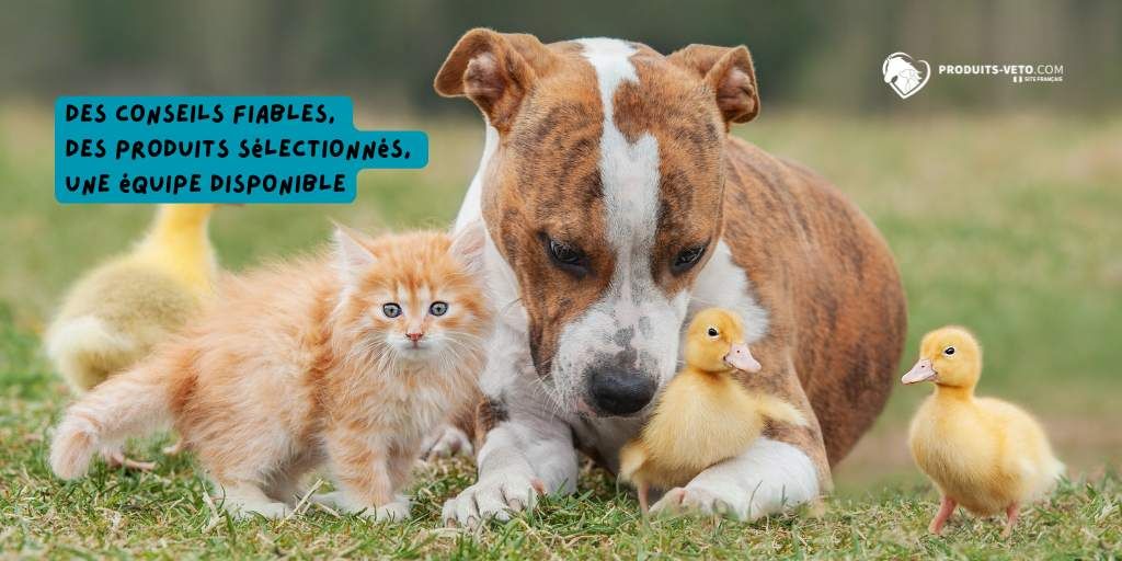 animaux_produits-veto