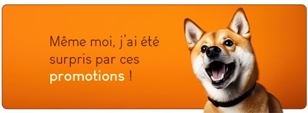 Promotions sur les produits vétérinaires pour chien