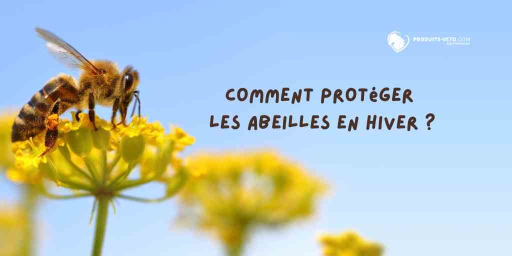 Abeilles - hiver - protection - froid - produits-veto