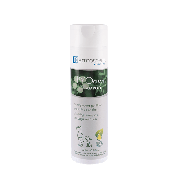 PYOclean Shampoo - Shampooing purifiant - Chien et chat - 200 ml - DERMOSCENT