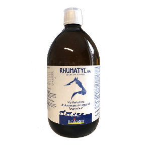 Rhumatyl GA - Traitement homéopathique des rhumatismes - 1 L - BOIRON