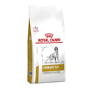 Royal Canin - Urinary S/O - Moderate Calorie - Croquettes - Chien - 1,5 Kg - ROYAL CANIN
