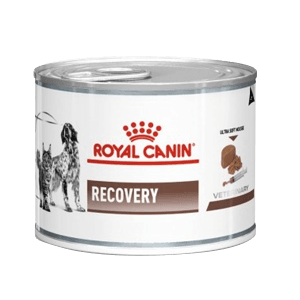 Royal Canin - Recovery - Croquettes - Chien et chat - 12 x 195g - ROYAL CANIN