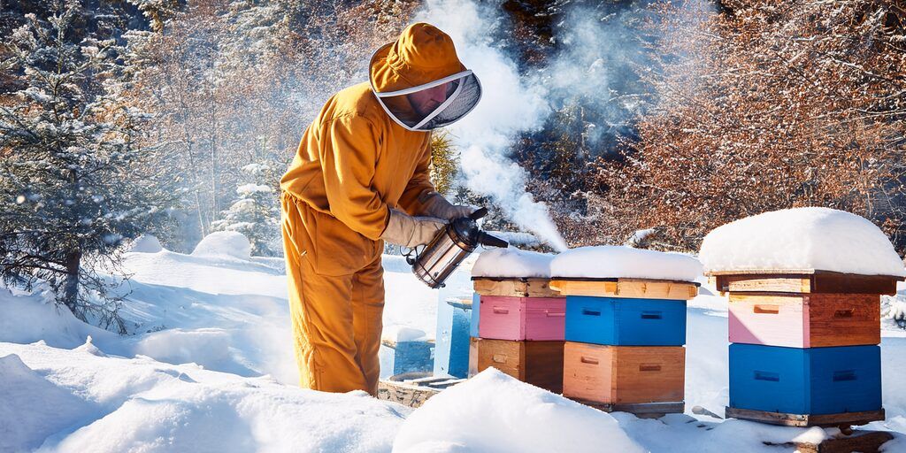 Première image de l'article Comment se débarrasser du varroa ? avec un apiculteur traitant ses ruches en hiver.