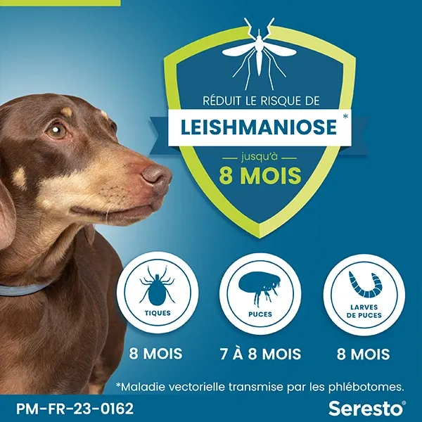 Collier Seresto petit chien anti-puces - Lot de 2 - ELANCO 3