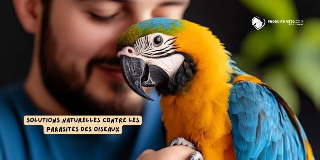 Perroquet_parasite_produits-veto_102025