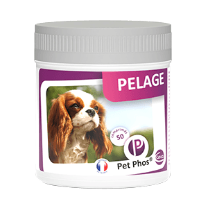 Pet Phos Pelage du chien - 50 comprimés - CEVA