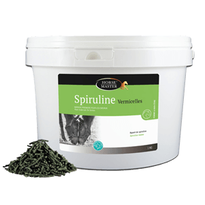 Espirulina en Vermicelles - Proteínas y vitaminas - Caballo - 1 kg - HORSE MASTER