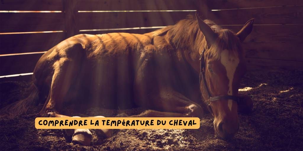 temperature-cheval-normale-cover.jpg
