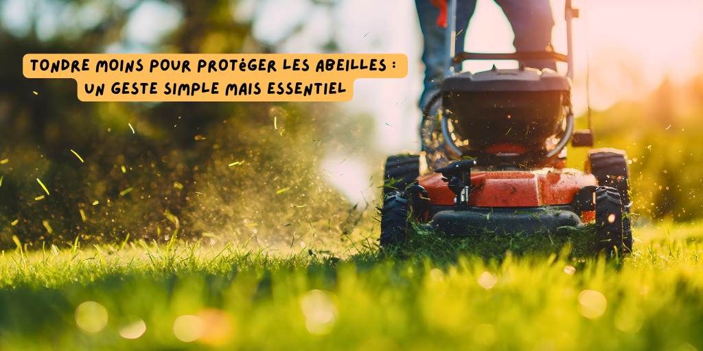 Tondre_abeilles_avril_26
