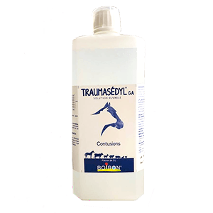 Traumasedyl GA - Traitement homéopathique contusions et hématomes - 1 L - BOIRON